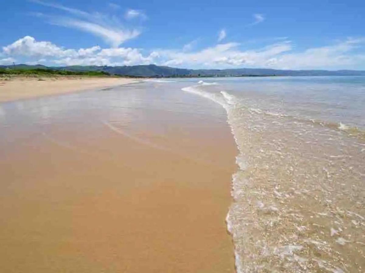 Marengo Beach Studios- Pet Friendly Luaran gambar
